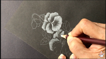 Load image into Gallery viewer, Tutorial Video 3: Coloring on Black Vellum