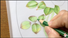 Load image into Gallery viewer, Tutorial Video 2: Colored Pencils Blending Technique