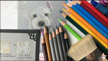 Load image into Gallery viewer, Tutorial 5: Coloring Chopper the white fur dog
