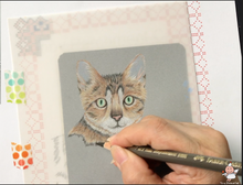 Load image into Gallery viewer, Tutorial Video 6: Colored pencils on cat fur (Toby the cat)
