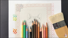 Load image into Gallery viewer, Tutorial Video 6: Colored pencils on cat fur (Toby the cat)