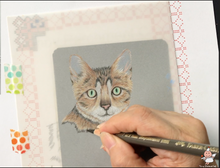 Load image into Gallery viewer, Tutorial Video 6: Colored pencils on cat fur (Toby the cat)
