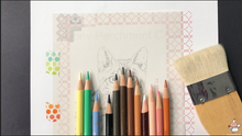 Load image into Gallery viewer, Tutorial Video 6: Colored pencils on cat fur (Toby the cat)
